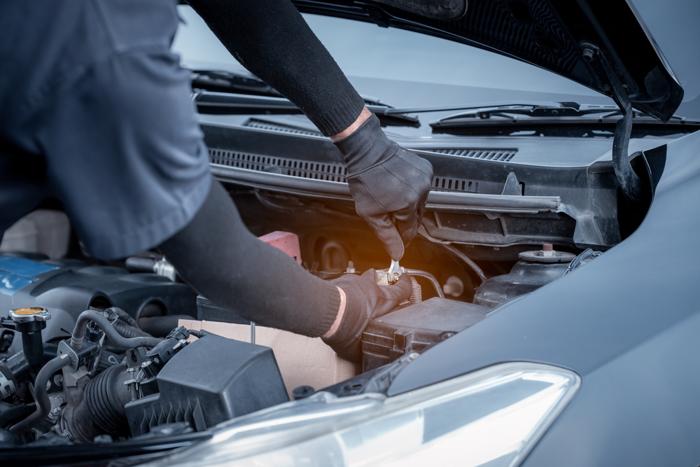 vehicle checkup